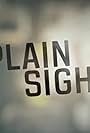 In Plain Sight (2018)