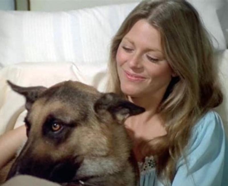 Lindsay Wagner in The Bionic Woman (1976)