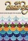 The Beach Boys: That's Why God Made the Radio (Lyric Version) (2012)