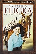 My Friend Flicka