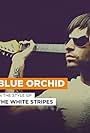 The White Stripes: Blue Orchid (2005)