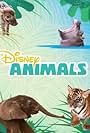 Disney Animals (2018)