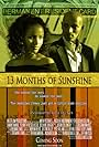 13 Months of Sunshine (2007)