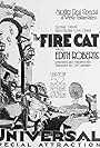 The Fire Cat (1921)