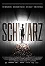 Schwarz (2011)