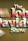 The John Davidson Show (1980)