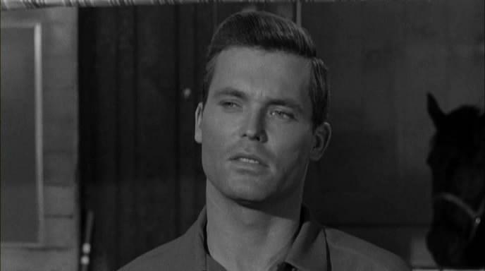 Ty Hardin in Wall of Noise (1963)