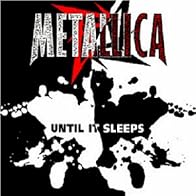 Primary photo for Metallica: Until It Sleeps