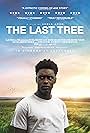 The Last Tree (2019)