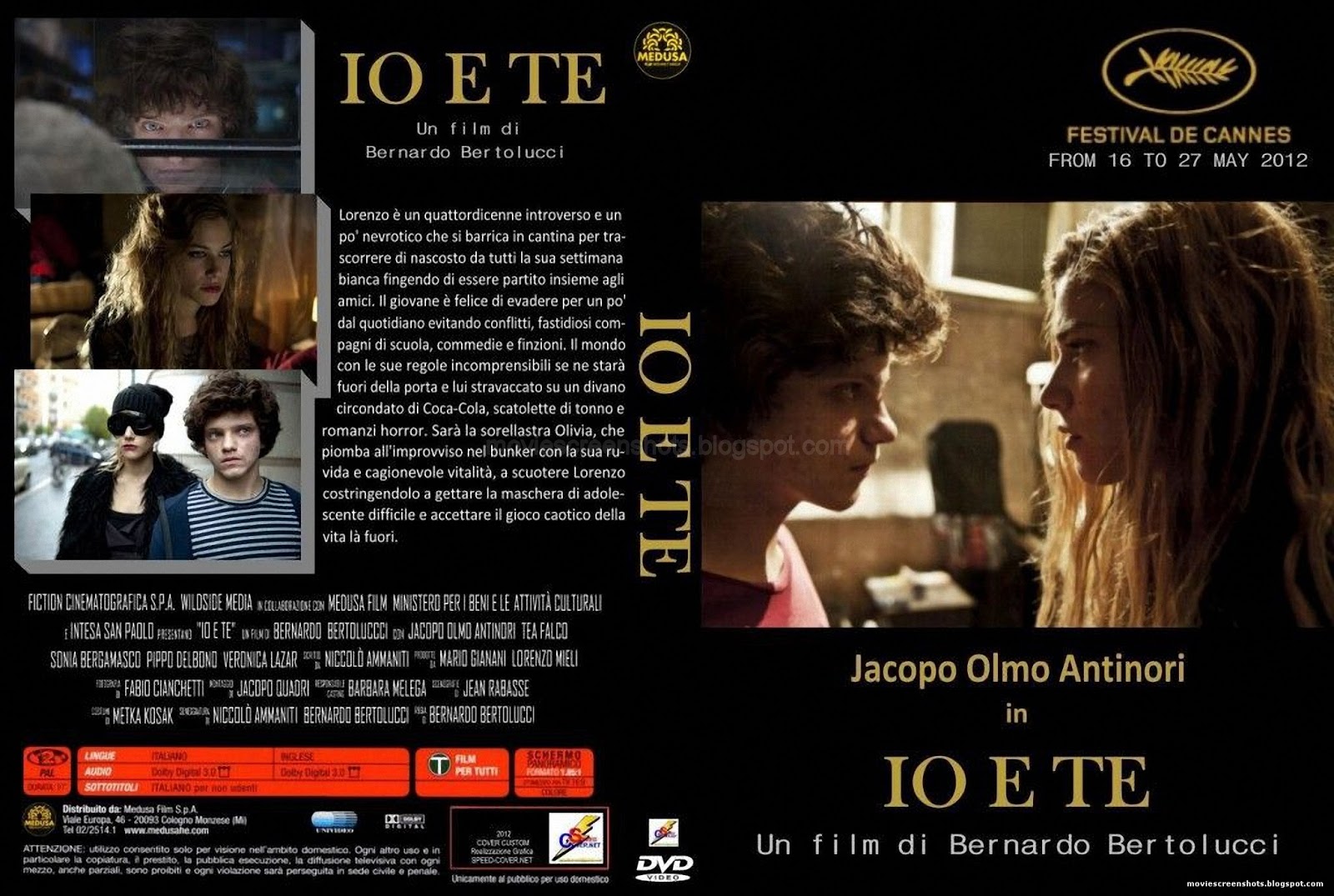 Io e te (2012)