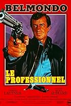 Le professionnel