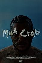 Mud Crab