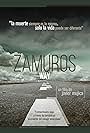 Zamuros Way