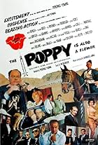 Rita Hayworth, Marcello Mastroianni, Senta Berger, Stephen Boyd, Yul Brynner, Angie Dickinson, Omar Sharif, Trevor Howard, Hugh Griffith, Jack Hawkins, E.G. Marshall, Anthony Quayle, Gilbert Roland, Harold Sakata, Barry Sullivan, and Eli Wallach in Poppies Are Also Flowers (1966)