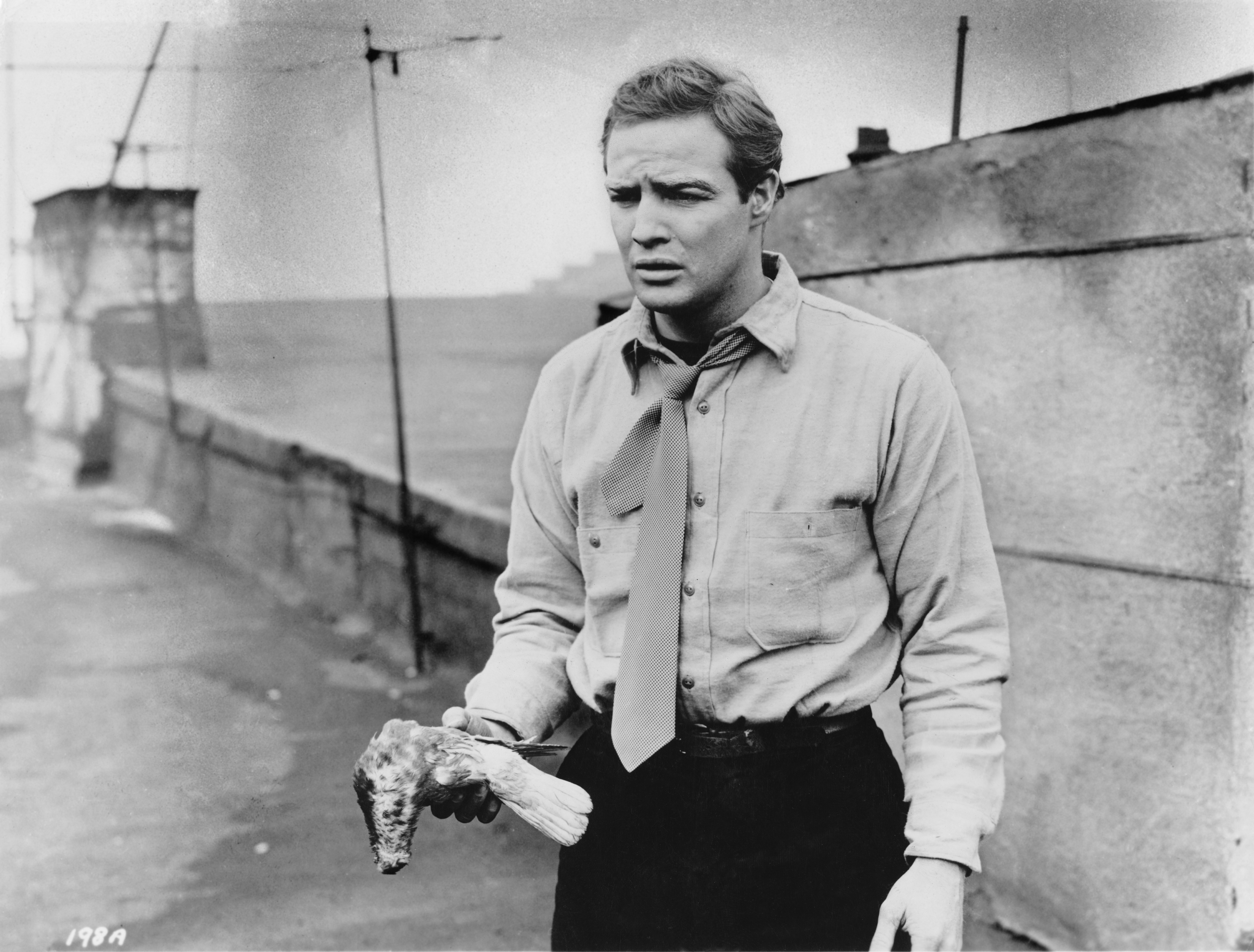 Marlon Brando in Trên Bến Cảng (1954)