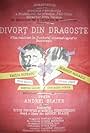 Divort... din dragoste (1991)