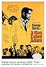 A Man Called Adam (1966) Poster