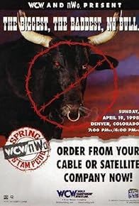 Primary photo for WCW/NWO Spring Stampede