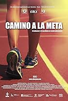 Camino a la meta (2013)