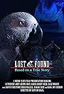 48 hour Lost & Found (2020 IV) (2020)