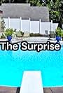 The Surprise (2009)