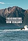 Fascinating New Zealand (2019)