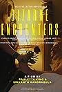 Bizarre Encounters (2017)