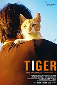 Tiger (2016)