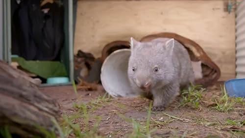 Nature: Australian Bushfire Rescue