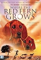 Where the Red Fern Grows