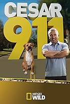 Cesar 911