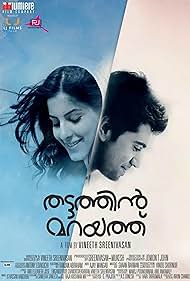 Thattathin Marayathu (2012)