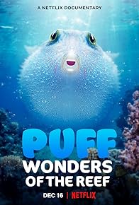 Primary photo for Puff: Wonders of the Reef