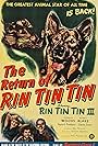 Robert Blake, Claudia Drake, Donald Woods, and Rin Tin Tin III in The Return of Rin Tin Tin (1947)