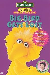 Primary photo for Big Bird Gets Lost