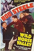 Phyllis Adair, Ted Adams, Bud Osborne, and Bob Steele in Wild Horse Valley (1940)