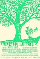 A Pedra Sonha dar Flor