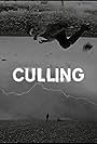 Culling (2021)