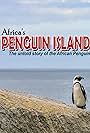 Africa's Penguin Island (2004)