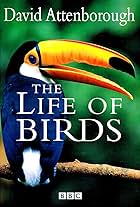 The Life of Birds