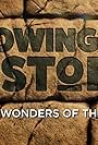 Blowing Up History: Seven Wonders (2021)