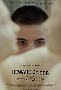 Primary photo for Beware of Dog