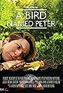 A Bird Named Peter (2016)