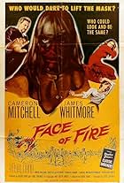 Face of Fire