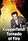 Copperfield: Tornado of Fire's primary photo