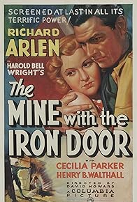 Primary photo for The Mine with the Iron Door