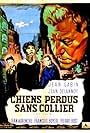 Chiens perdus sans collier (1955)