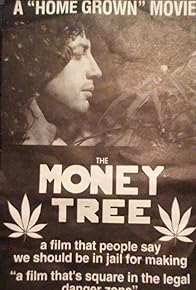 Primary photo for The Moneytree