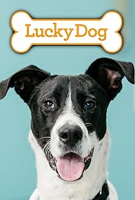 Primary photo for Lucky Dog