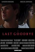 The Last Goodbye